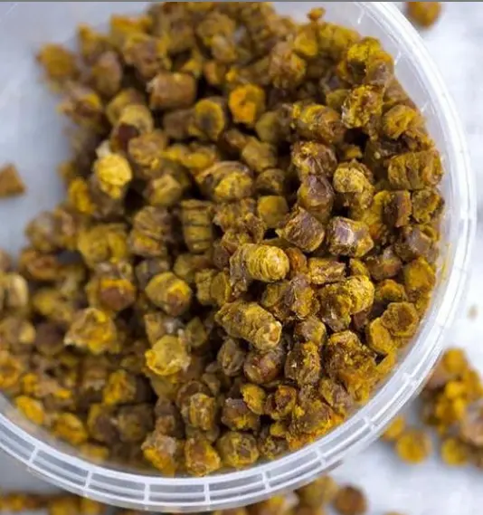 Перга - это исключительный пчелопродукт! Это кладезь витаминов, лечебных компонентов и микроэлементов.⁣⁣