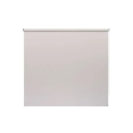 Рулонная штора PRAKTO Blackout Color 45x160 см светло-серый