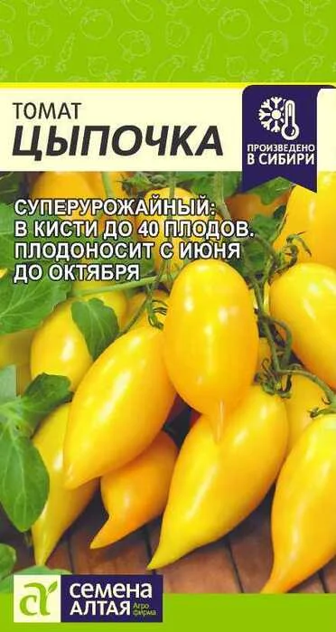 tomat_tsypochka_10_sht