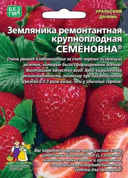 Фото для Земляника Семеновна ремонтантная 10 шт крупноплодная