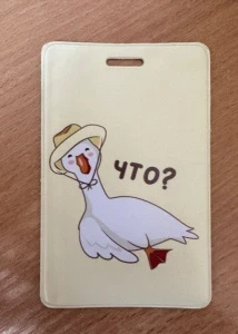 Фото для ОБЛОЖКА ДЛЯ КАРТ АЛЕФ 6.5*10.4СМ ЧТО?