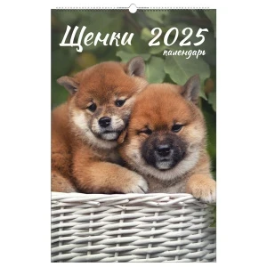 Фото для КАЛЕНДАРЬ НАСТЕННЫЙ ГРЕБЕНЬ ЭКСМО 28*43,5СМ 6Л (КПВС2510, 2025 Домашние любимцы)