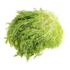 yxcwz6hnowvvma3qeausvpahn3c7bpgc