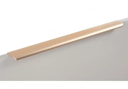 Фото для Ручка мебельная торцевая RT110SG.1/160/200 (50)