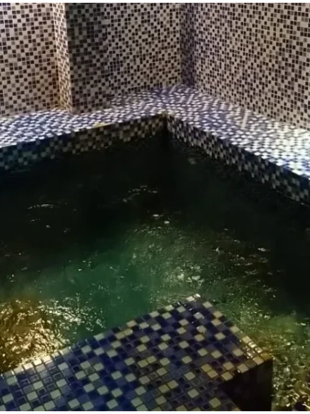 Финская сауна и турецкий хамам