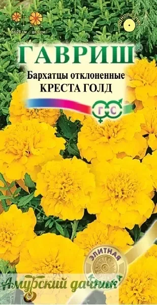 Фото для ЦВЦ Бархатцы Креста Голд (Тагатес) откл. 7с "Г"/10 (28 см)