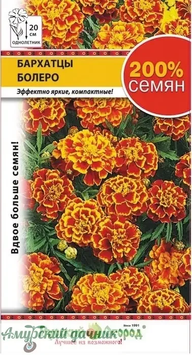 Фото для ЦВЦ Бархатцы Болеро 0,6г. 200%"НК"/10 (выс-20см)