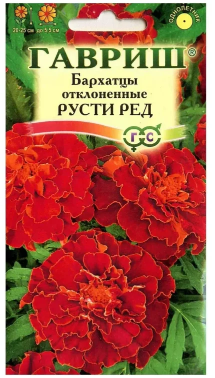 Фото для ЦВЦ Бархатцы Русти Ред откл. 0,3 г." Г"/20 (20-25 см)