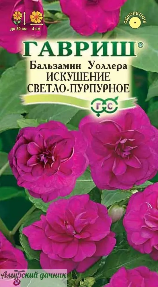 lm4ve363w69u4hu2qu65t9t2df6g8fp6