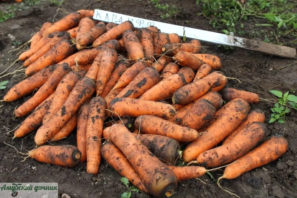 c4aaabf4d547f1393b492208a0932bd2