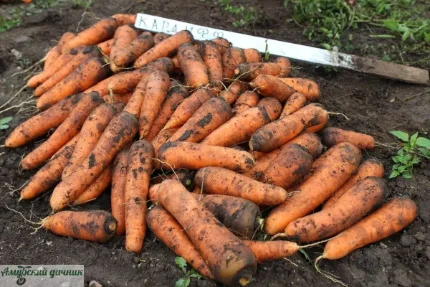 c4aaabf4d547f1393b492208a0932bd2