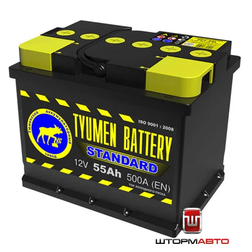Аккумуляторная батарея 6СТ-55L STANDARD г.Тюмень 1171