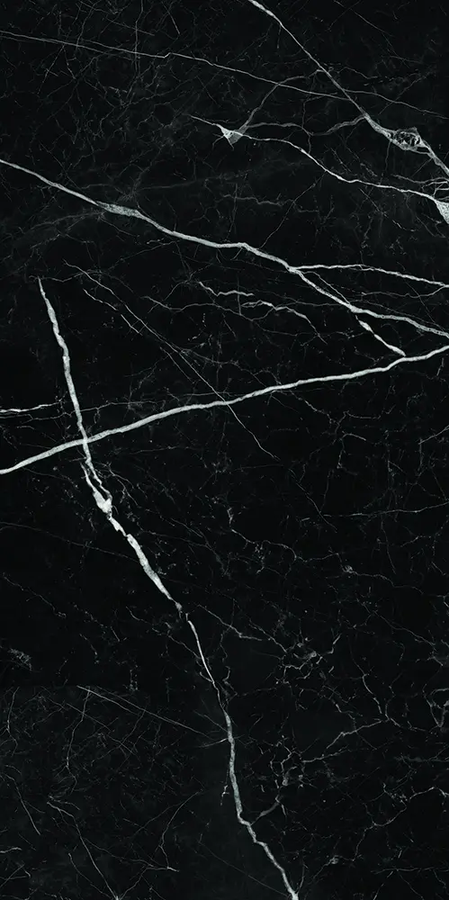 50c3e0b068bb628c0a122b04873a0c64