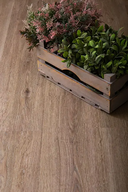 cb3c10e3dbd7f1d34a45ef4468a0dc6e