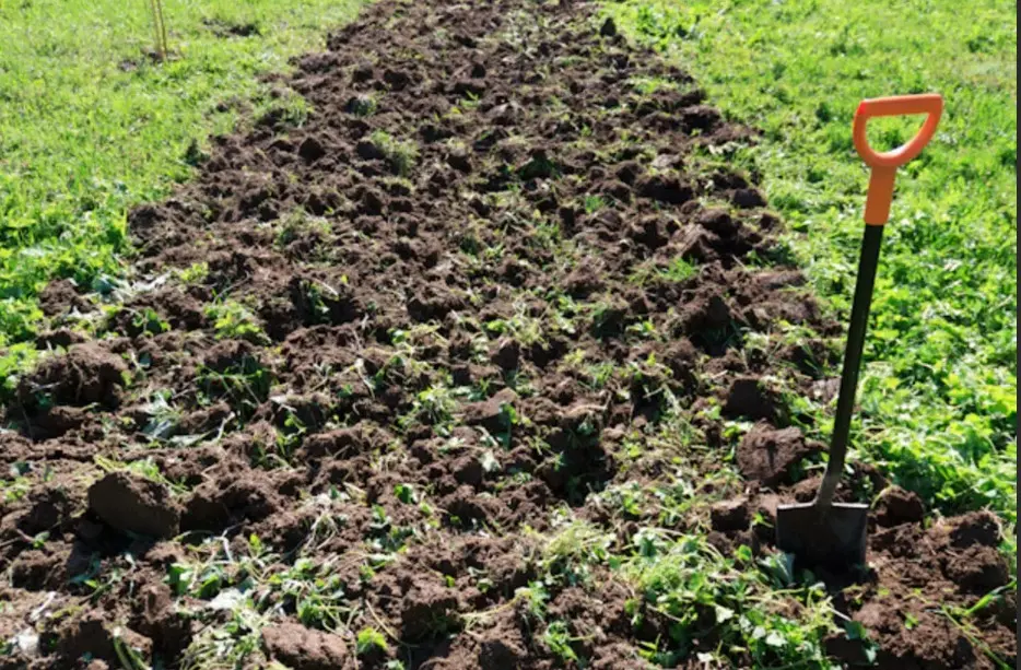 Вскопать огород лопатой