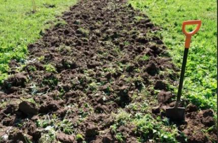 Фото для Вскопать огород лопатой