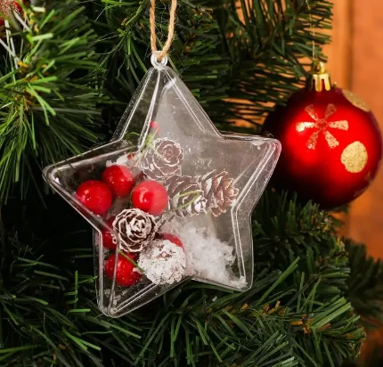 Фото для Новогодняя подвеска с природным декором Снежная звезда
