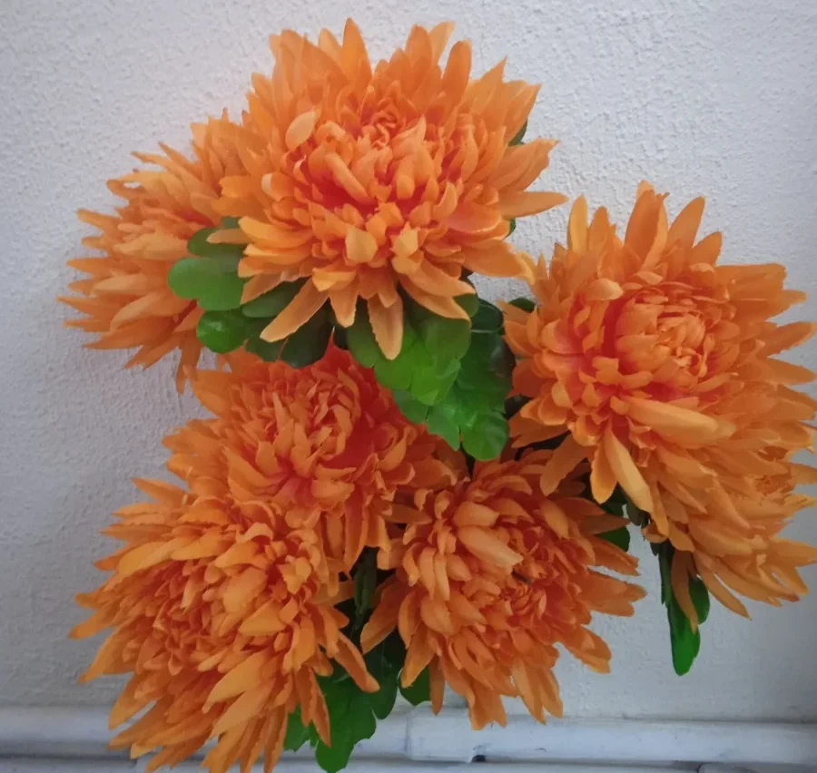 Букет хризантемы натуральной Н:50см в уп. 6