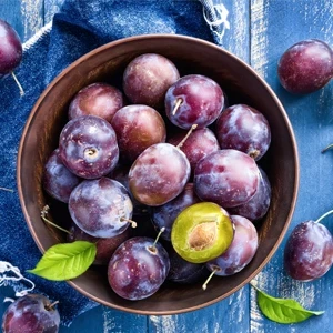 9j2lzi8p7k0gvxeh6m1nf0cpizj9u41o