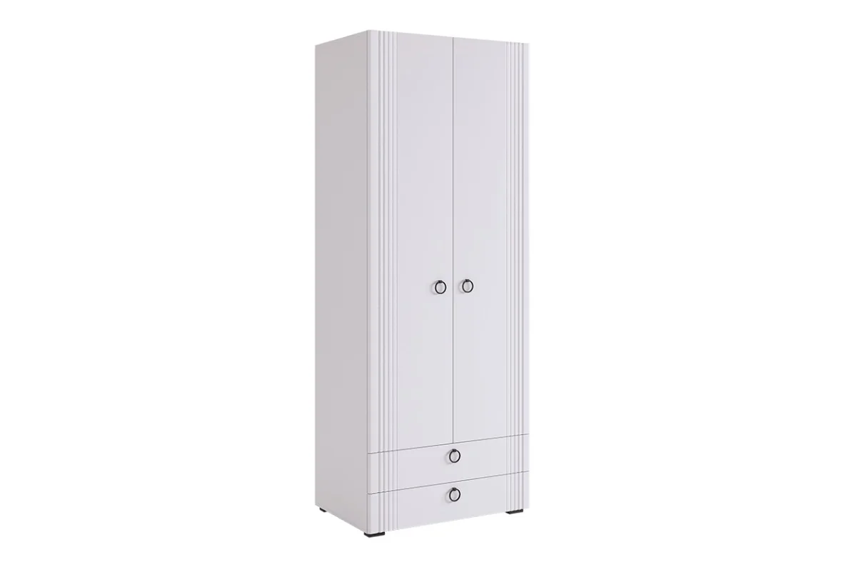 Шкаф двухдверный Ева 103.01 (Белое дерево/Белый матовый)