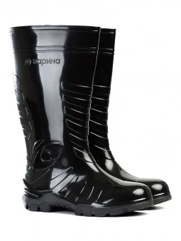 Фото для Сапоги Д23-КЩС S муж