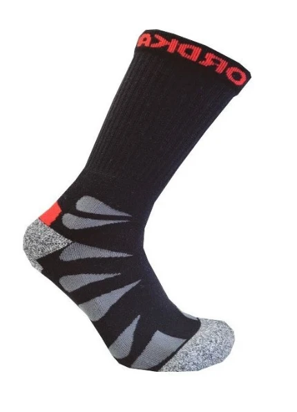 50061efc_511b_11ee_886d_52540007e369_05fbf704_511c_11ee_886d_52540007e369.resize1