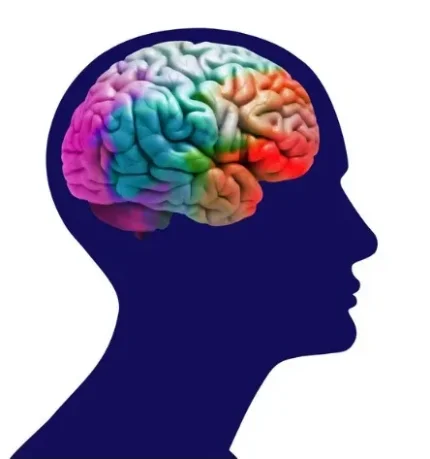 Фото для МРТ головного мозга при подозрении на болезнь Альцгеймера