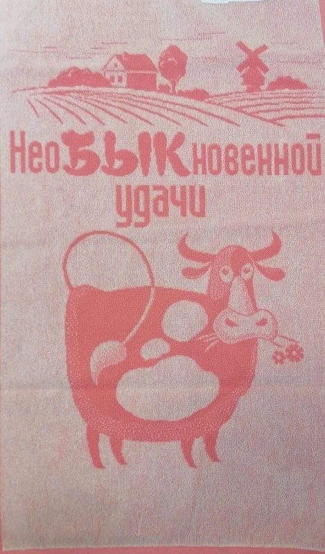 67mu67ws29nuqma5pdq88g5g0xiovjpr