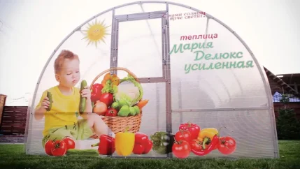 Фото для Вставка "Мария Делюкс" усиленная (2*3*2,1м)