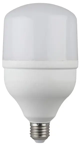 Лампа ЭРА LED POWER T100-30W-6500-E27