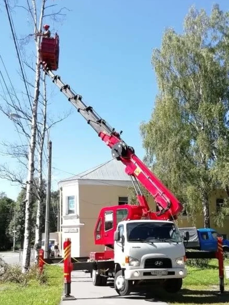 
Спил веток с применением автовышки