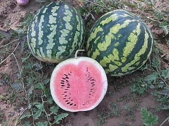 daa33685995c11ed827cd85ed377b6fa_8c970ca202e011f0828ed85ed377b6fa