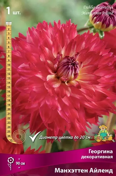 a6df785addc311ed8293d85ed377b6fa_5f64fd04156711ee8296d85ed377b6fa