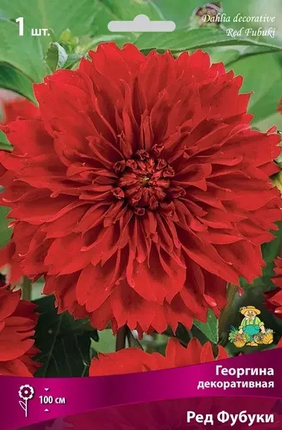 a6df785bddc311ed8293d85ed377b6fa_5f64fd05156711ee8296d85ed377b6fa