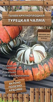 Тыква крупноплодная Турецкая чалма (декор. огород) (ЦВ) 5шт.
