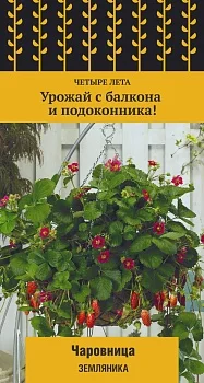 Земляника Чаровница (сер.Четыре лета) (А) (ЦВ) 5 шт.