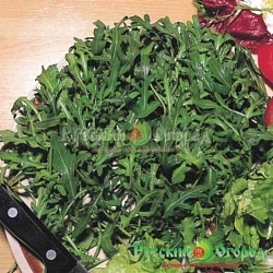 82acbd07a50011ed8286d85ed377b6fa_dfbaa4c0bd0811ef8288d85ed377b6fa