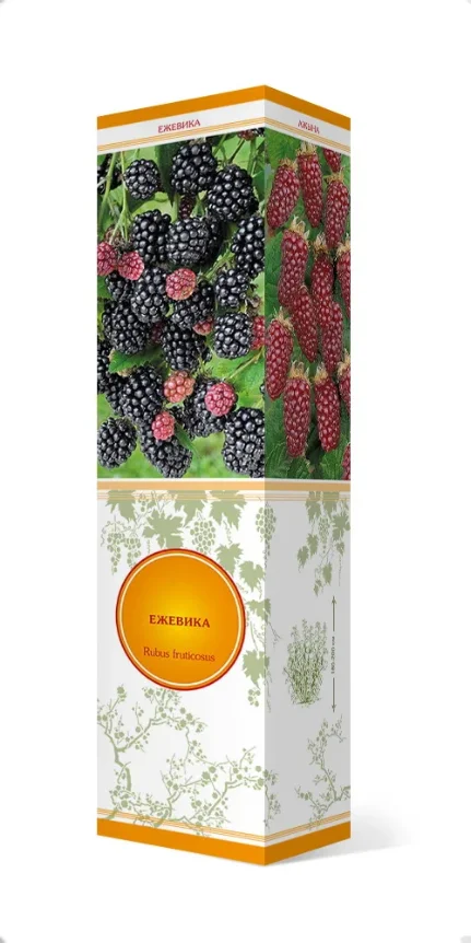 24734b6cf87811ee832ed85ed377b6fa_24734b6df87811ee832ed85ed377b6fa